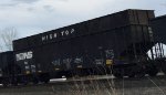 NS 802709